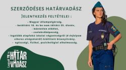 feltételek