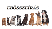 ebösszeírás