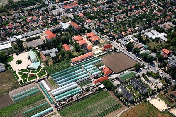 ofalu